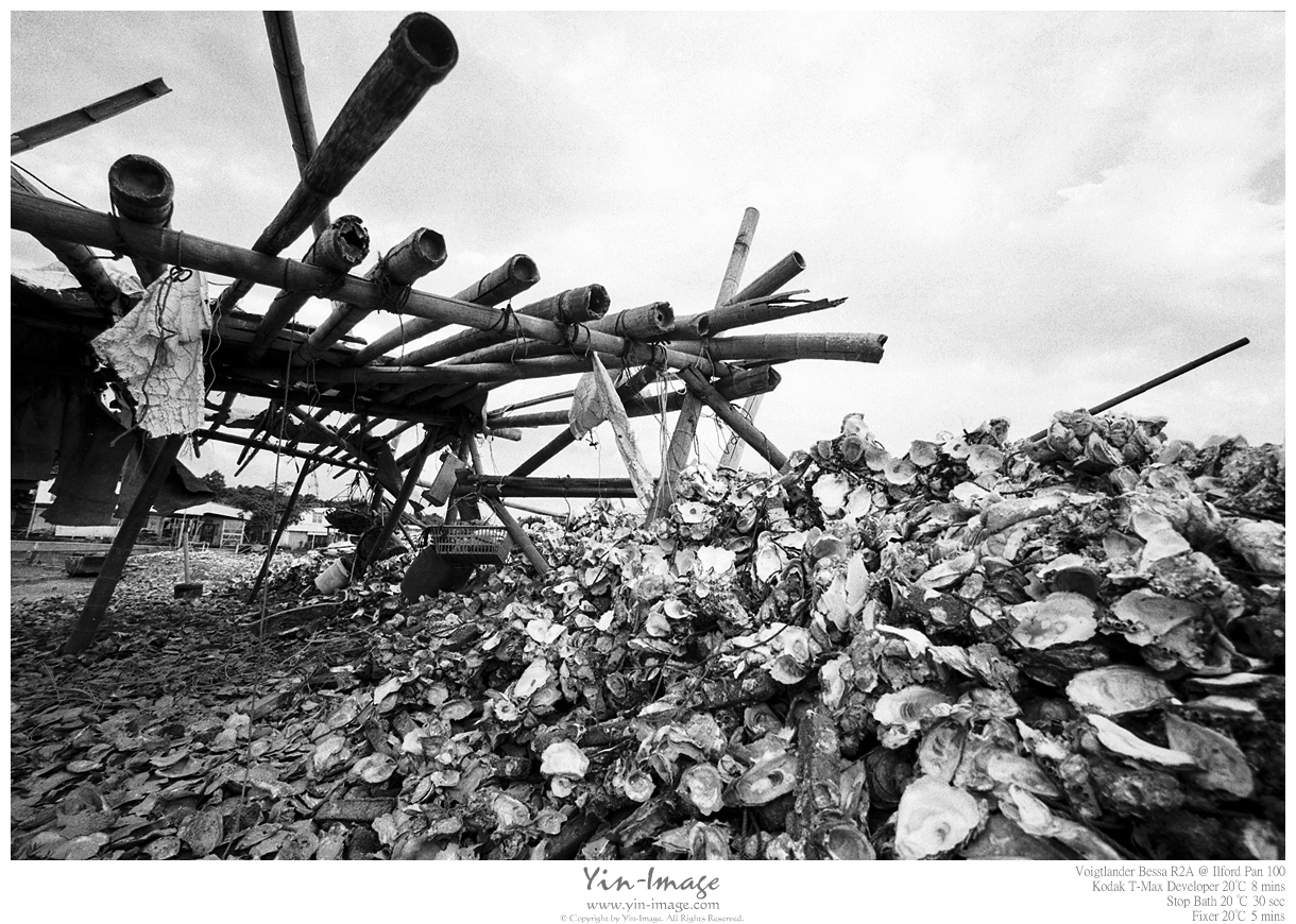 Ilford 24 8.09.2012